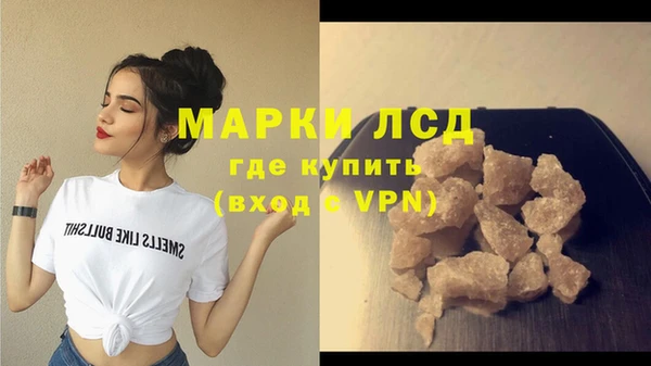 сатива Няндома