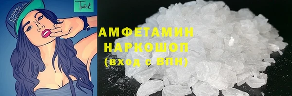 сатива Няндома