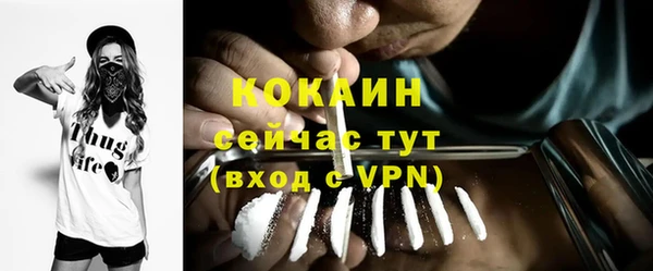 сатива Няндома