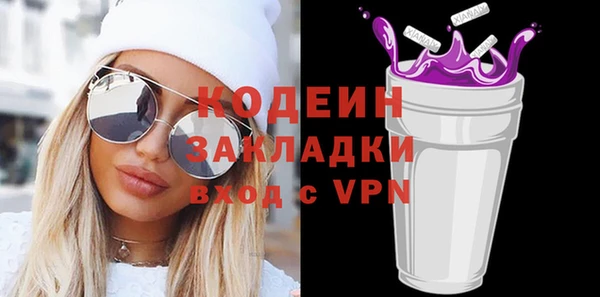 сатива Няндома