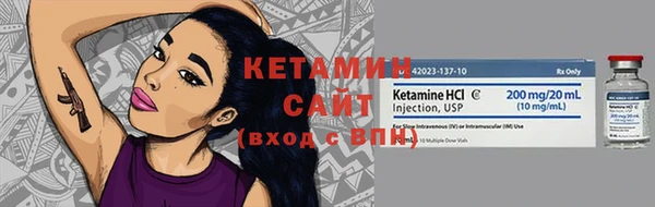 сатива Няндома