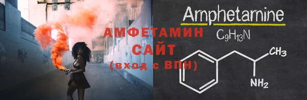 сатива Няндома