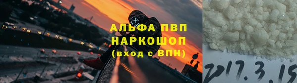 сатива Няндома
