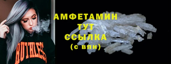сатива Няндома