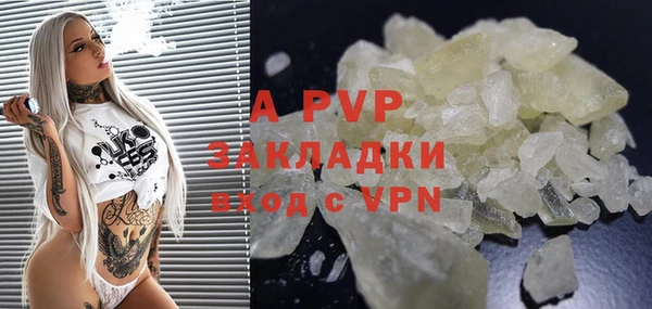 сатива Няндома