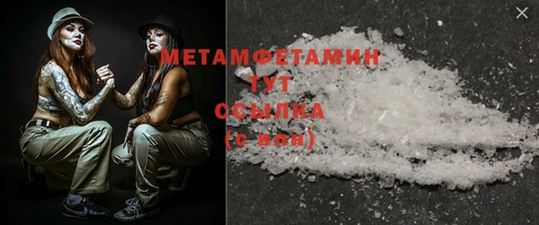 сатива Няндома