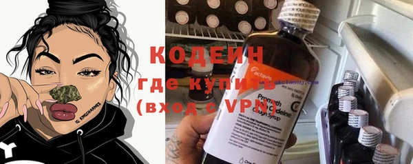 сатива Няндома