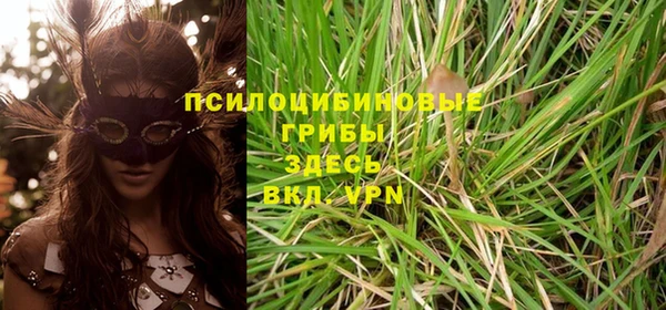 МДПВ Нязепетровск
